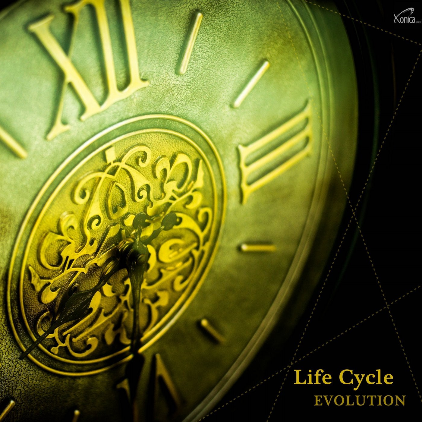 Life Cycle - Evolution