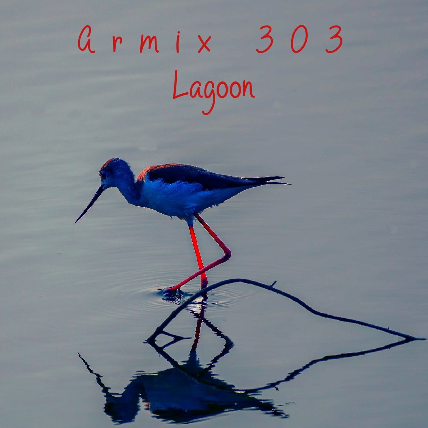 Lagoon