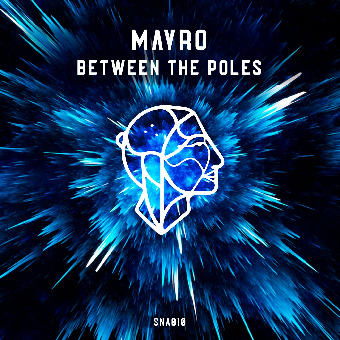 Between the Poles