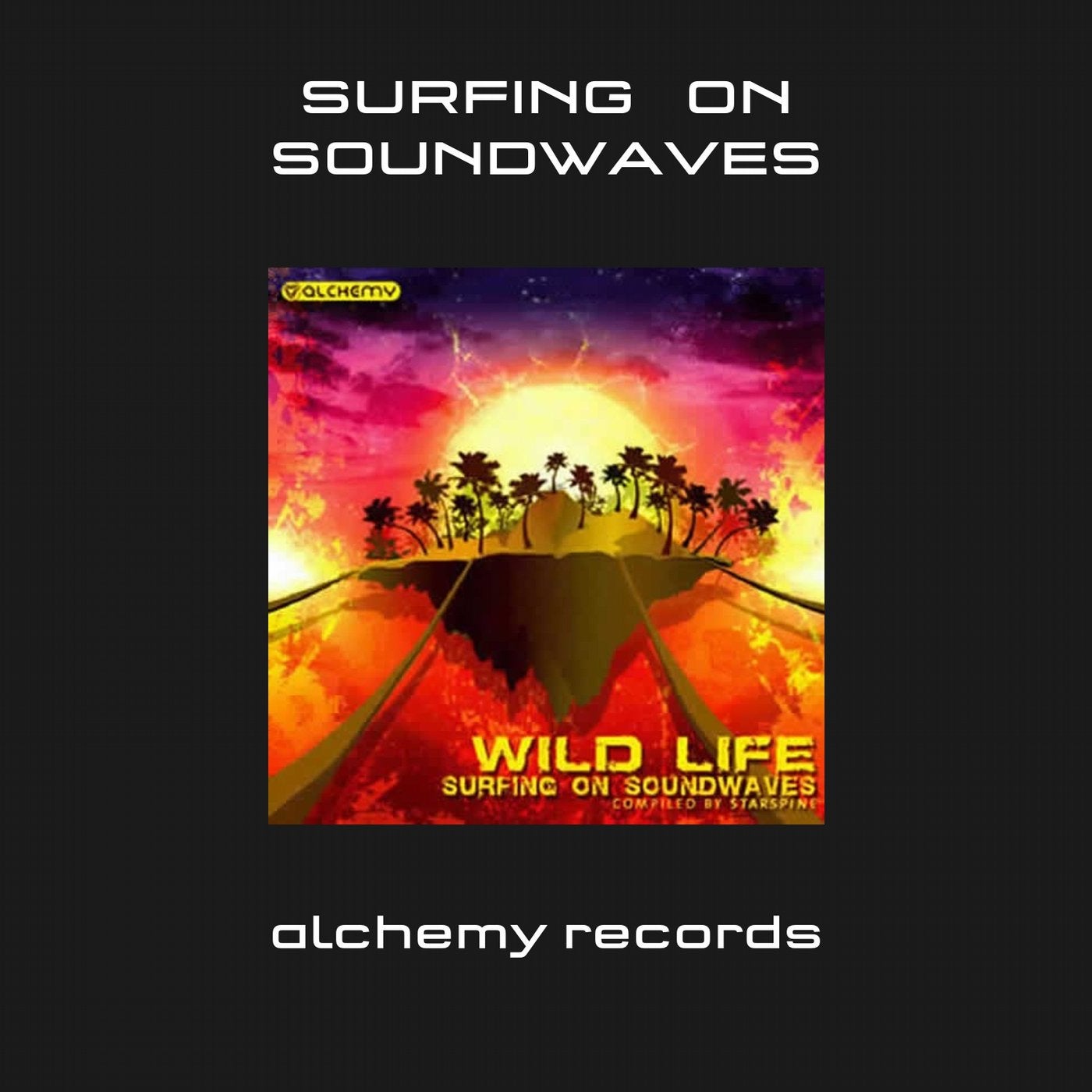 Wild Life 3: Surfing on Soundwaves
