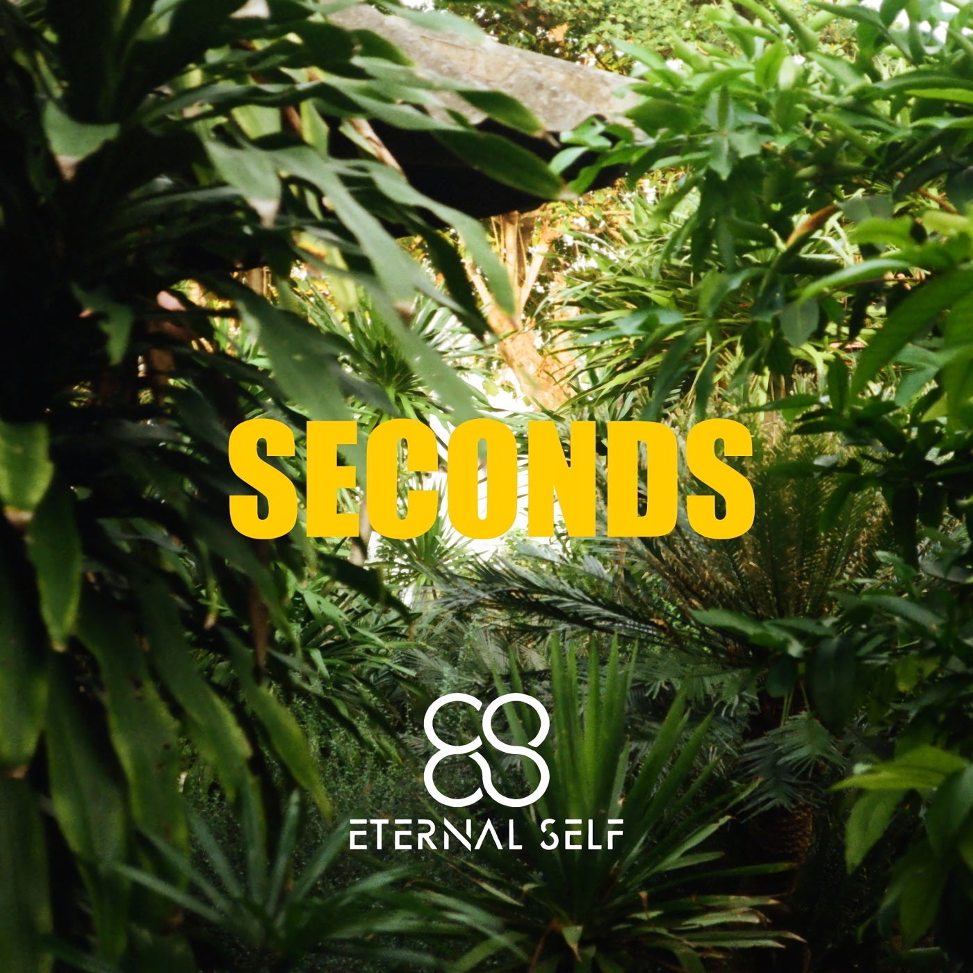 Seconds