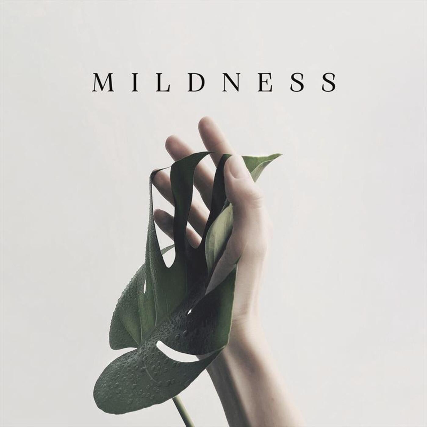 Mildness