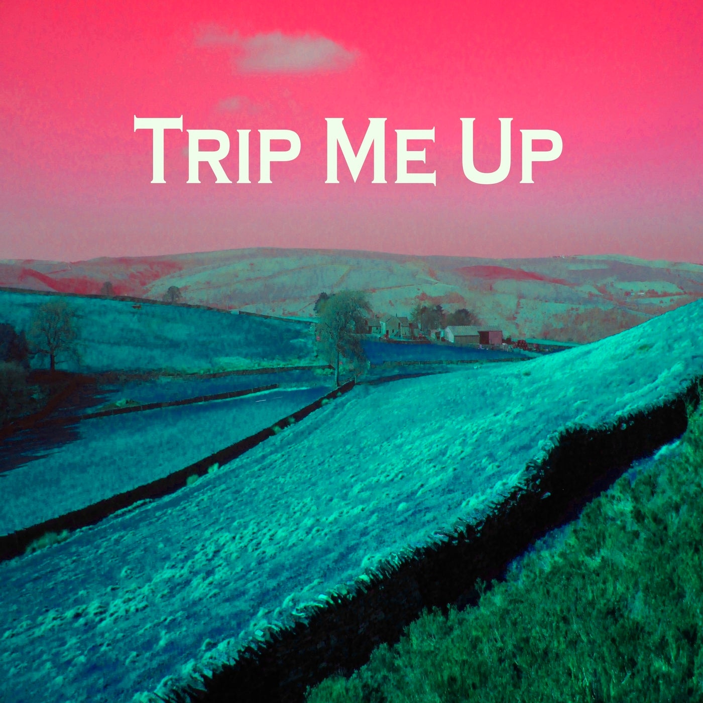 Trip Me Up