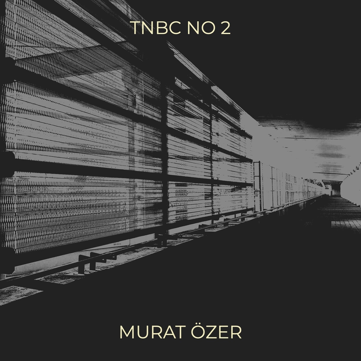 Tnbc No 2