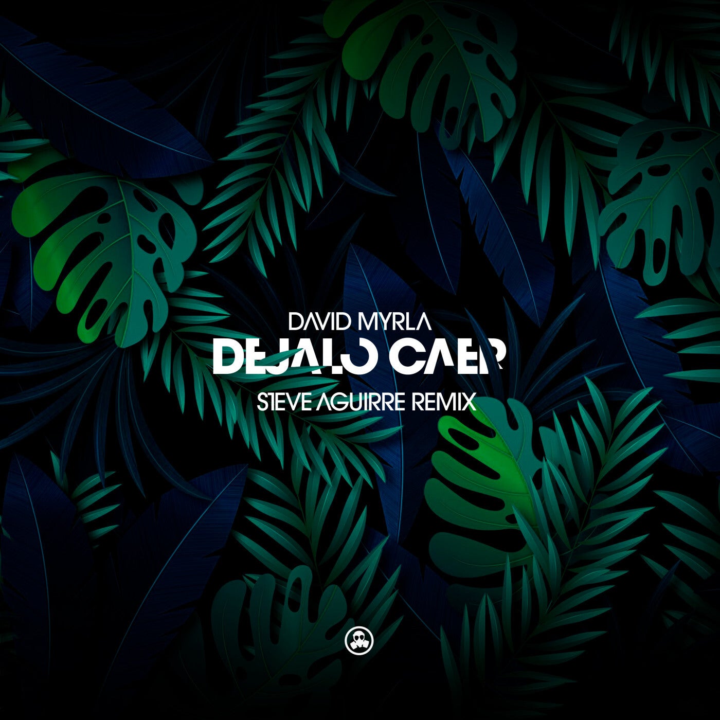 Dejalo Caer (Steve Aguirre Remix)