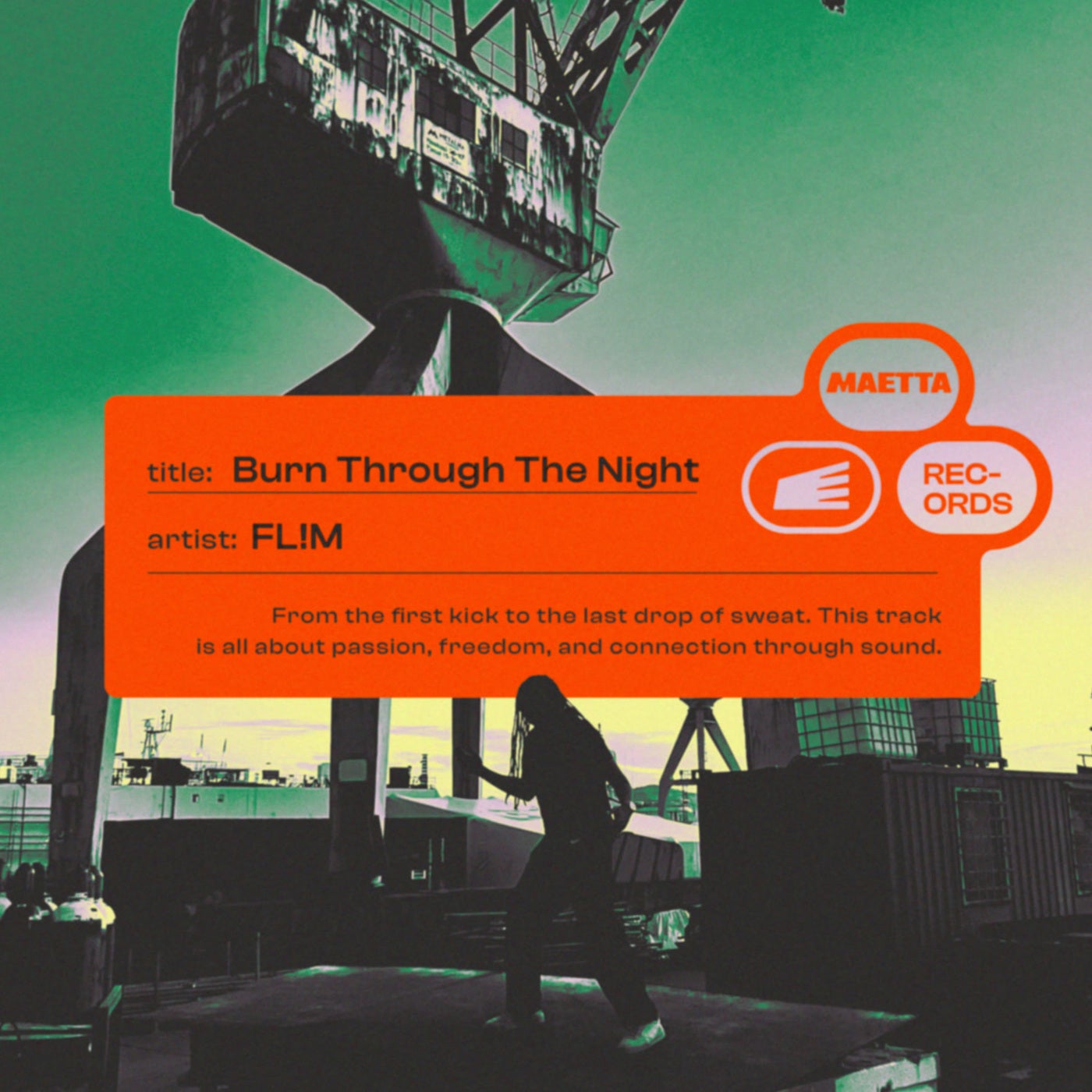 Cover art for Burn Through The Night