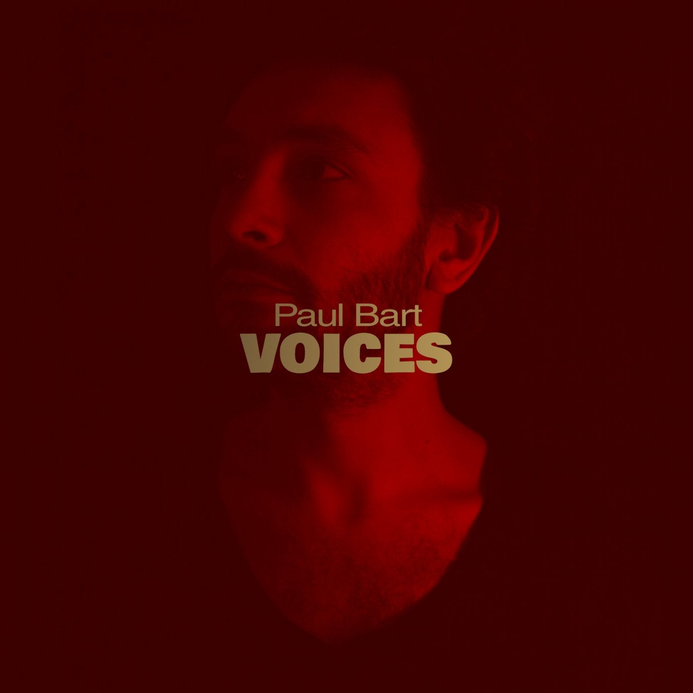 Voices