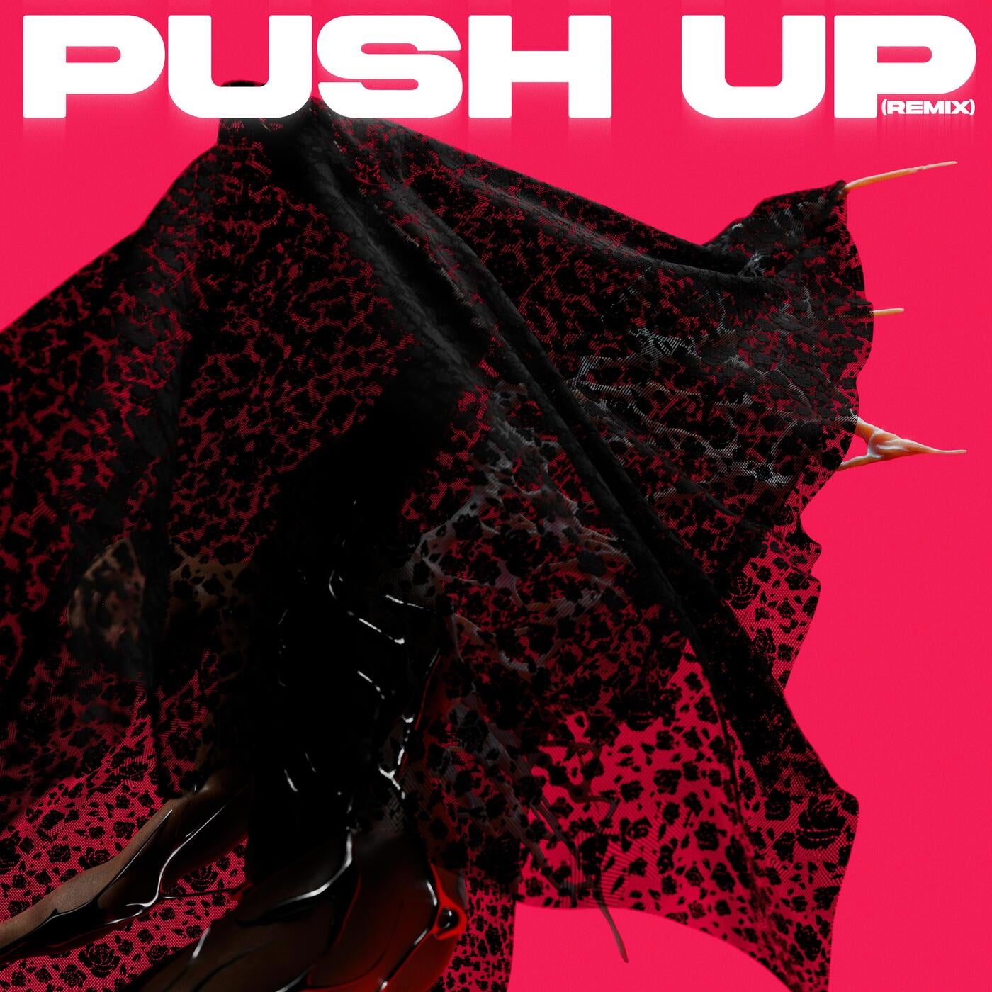 Push Up (Remix)
