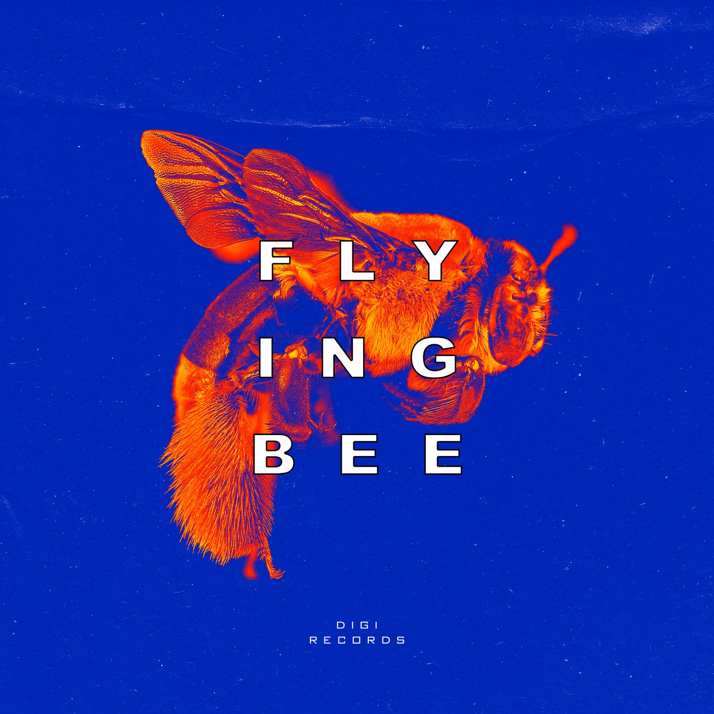 Flying bee