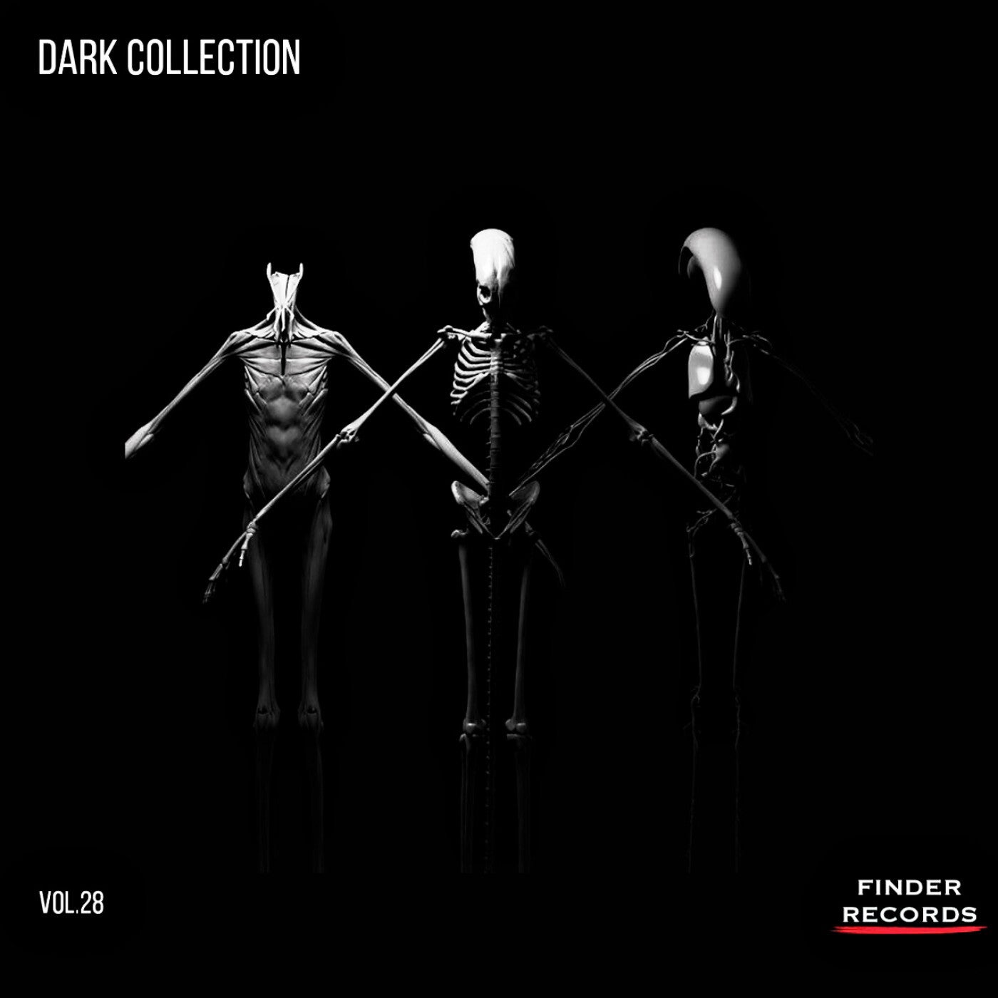 Dark Collection Vol.28