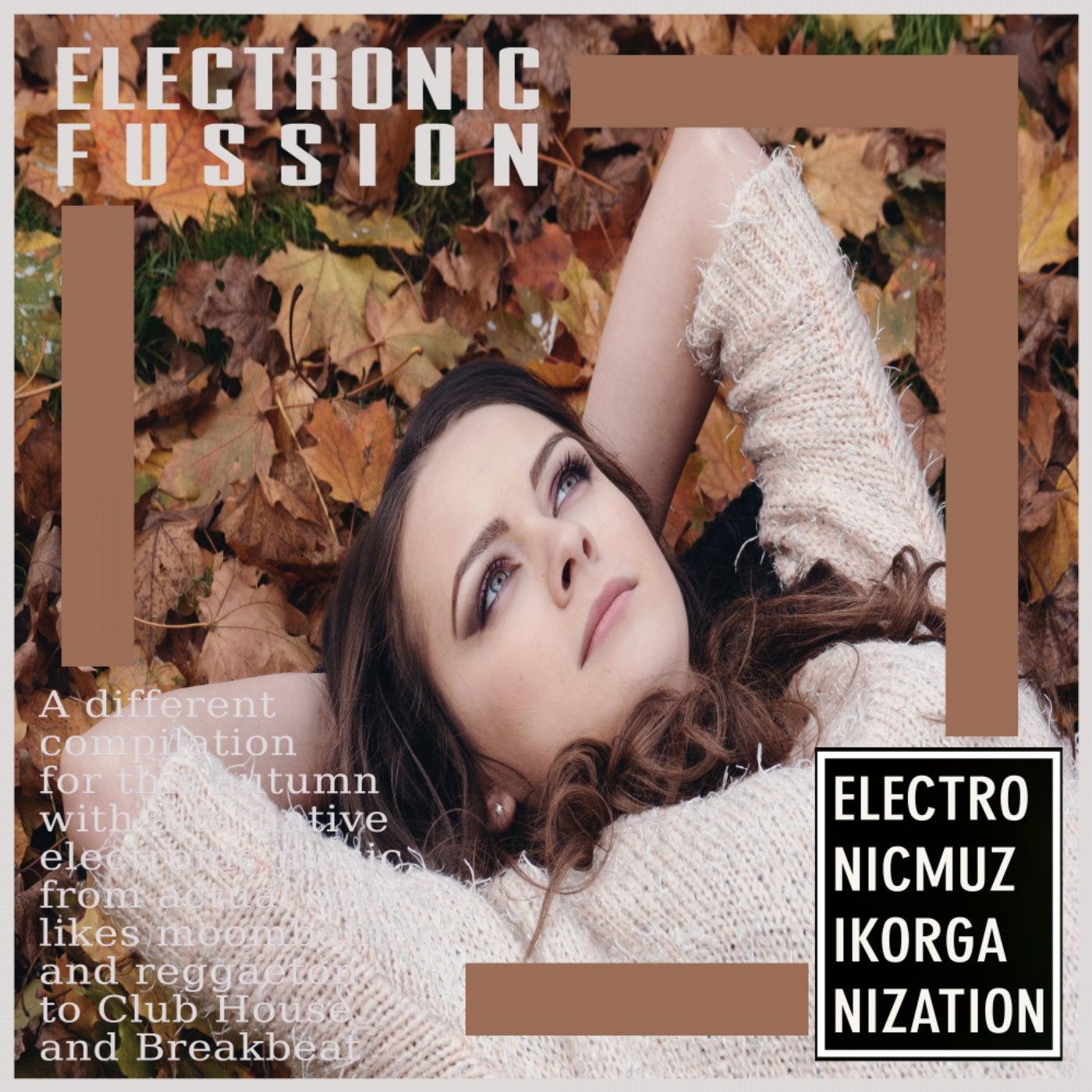 Electronic Fussion