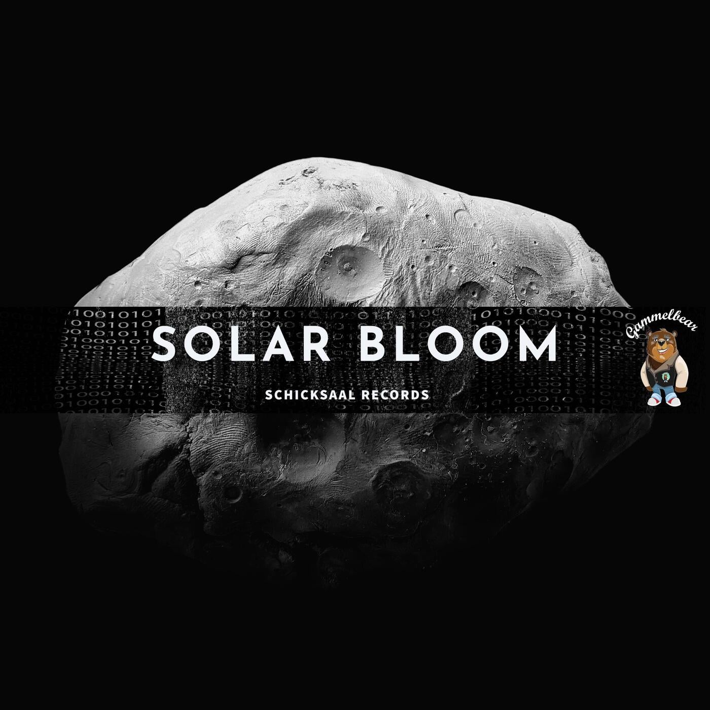 Solar Bloom