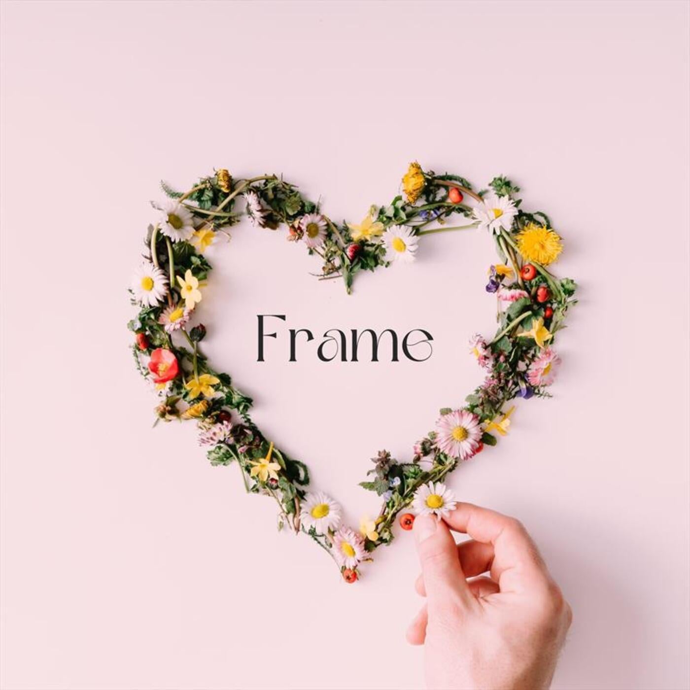 Frame