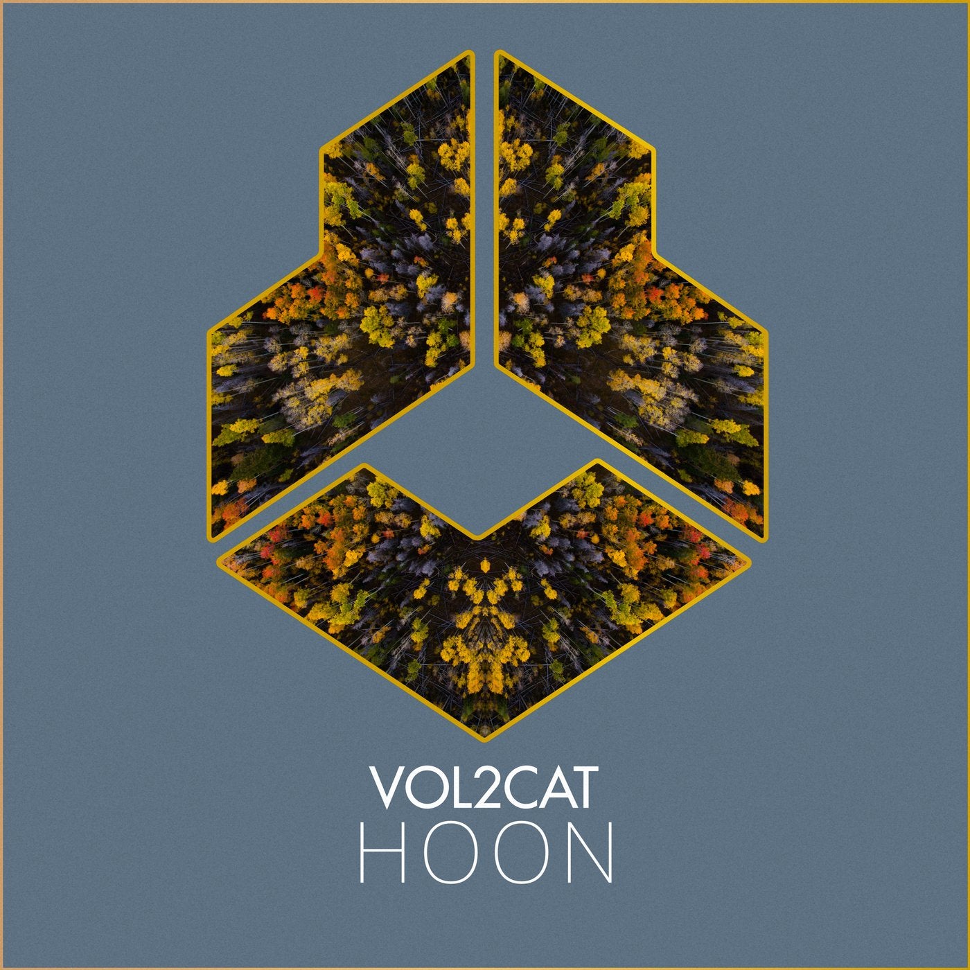 Hoon