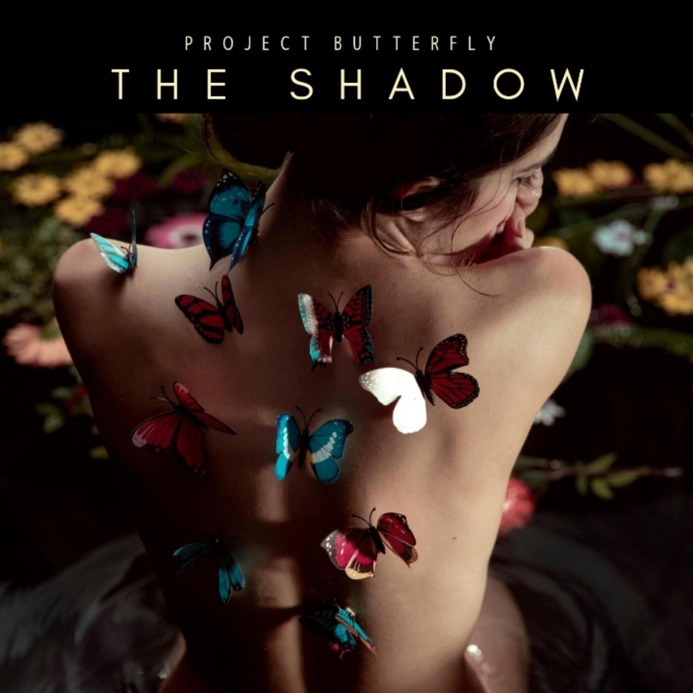 The Shadow