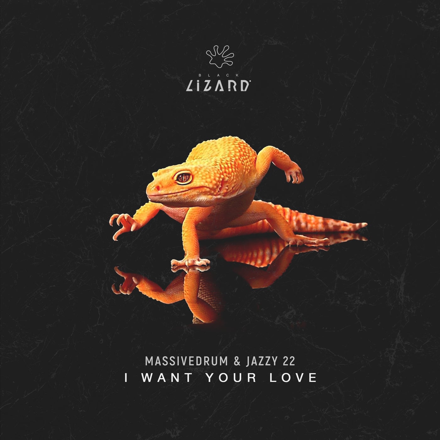 I Want Your Love - Radio Edit