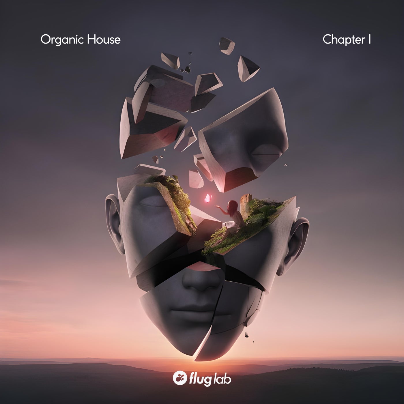 VA – Organic House – Chapter I FLAB082 VA – Organic House – Chapter I FLAB082