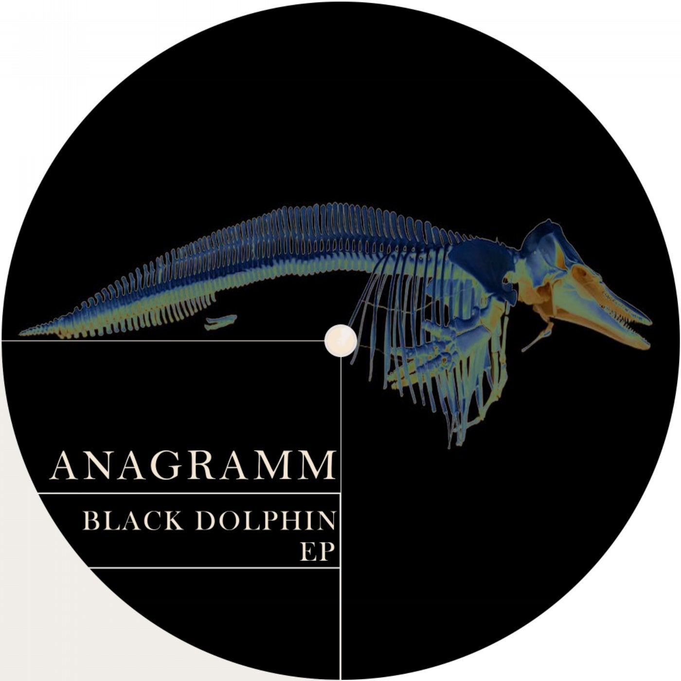 Black Dolphin