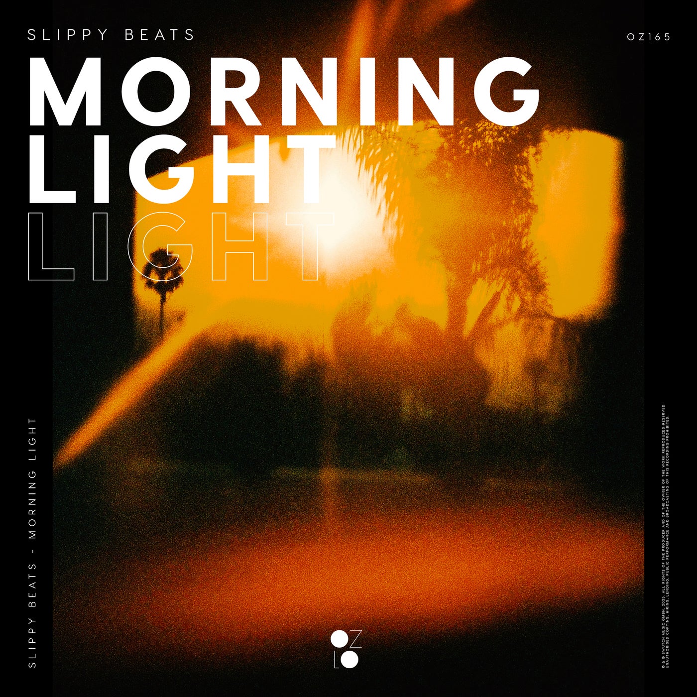 Morning Light