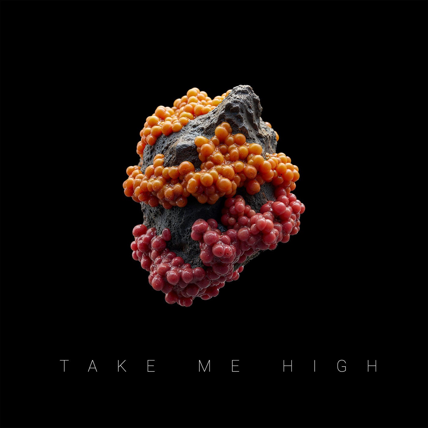 Take Me High