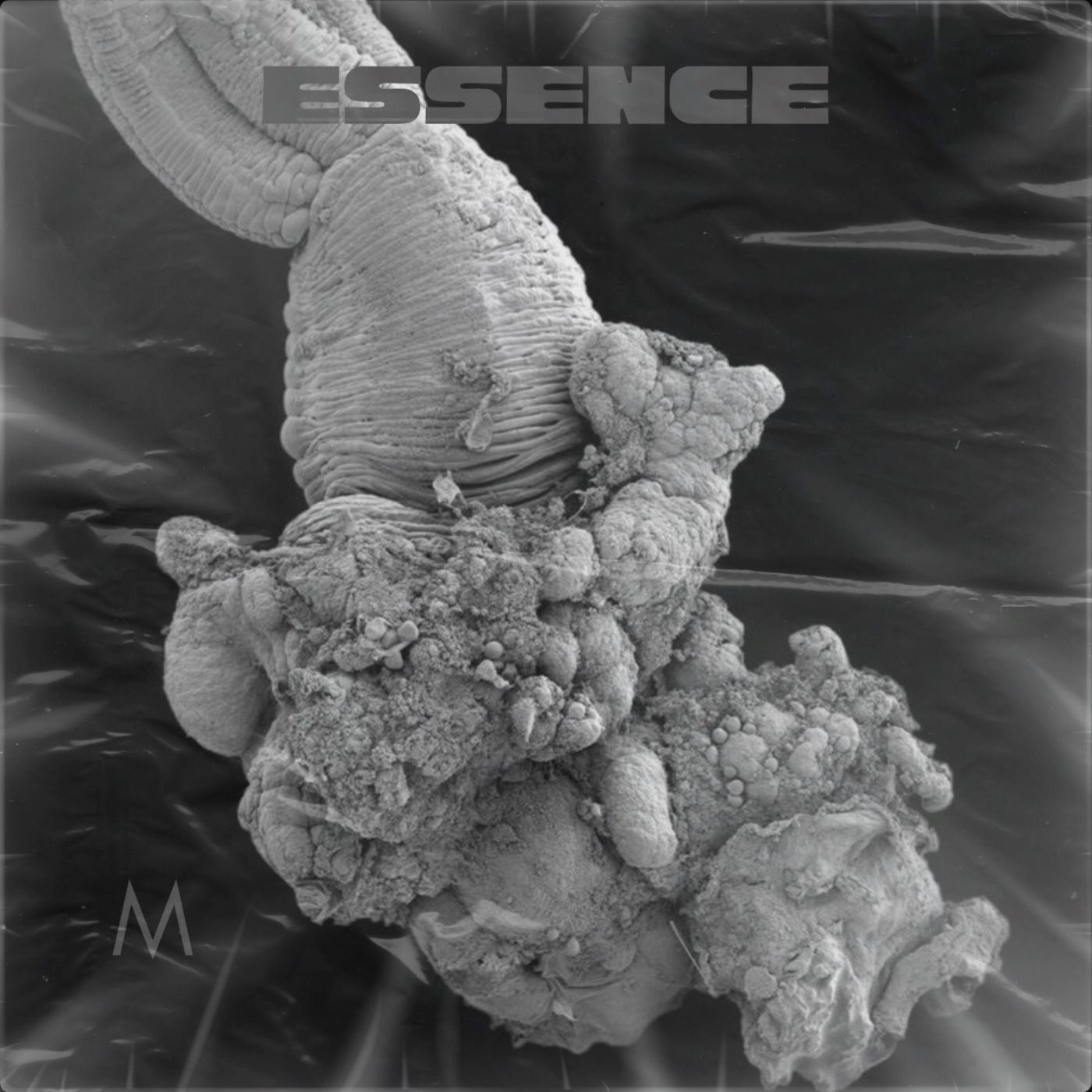 Essence