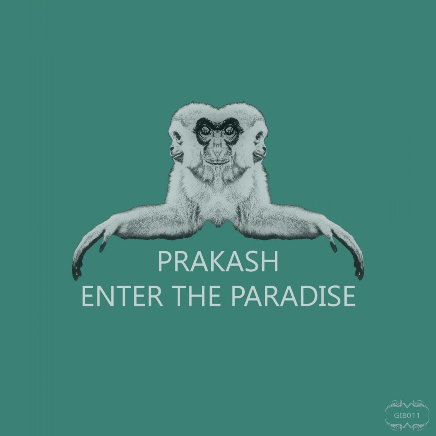 Enter The Paradise
