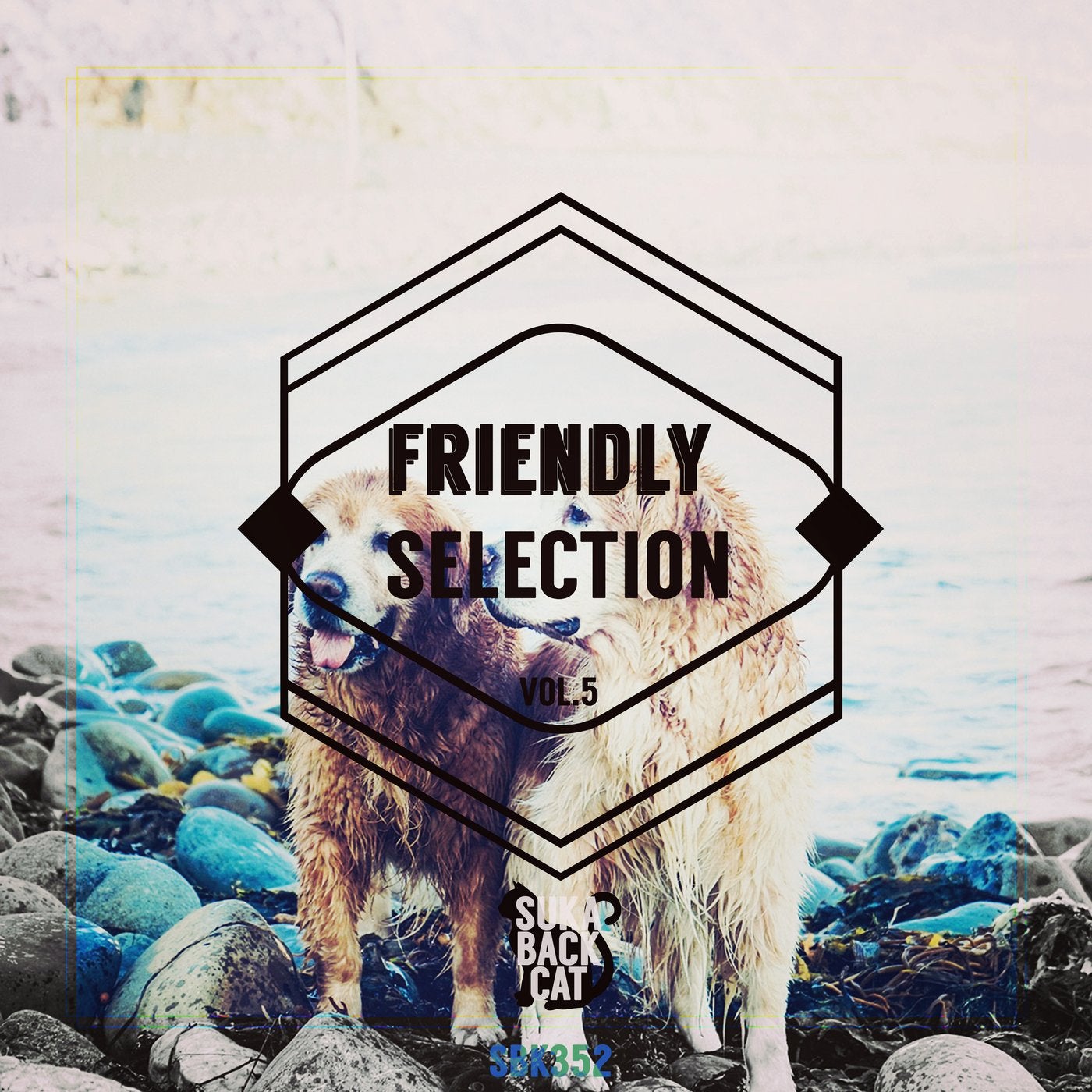 Friendly Selection, Vol. 5