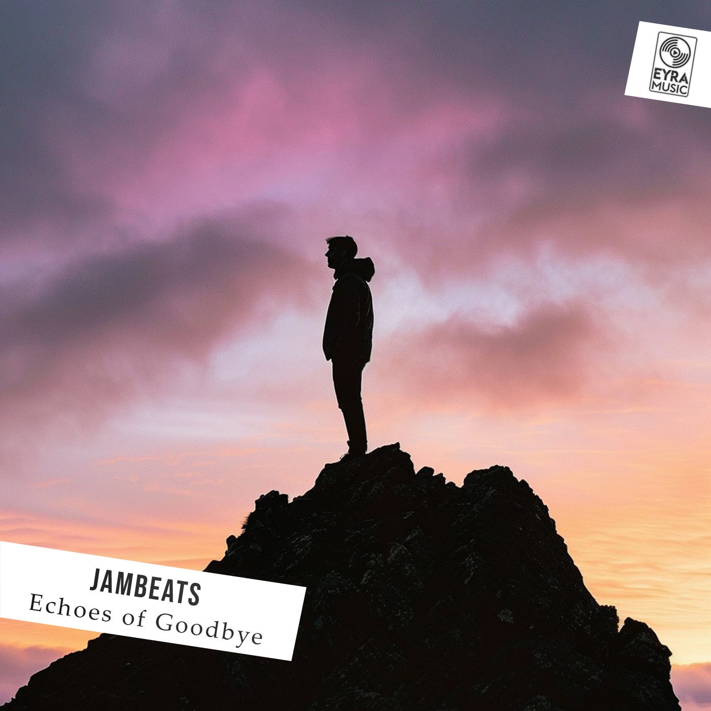 Echoes of Goodbye