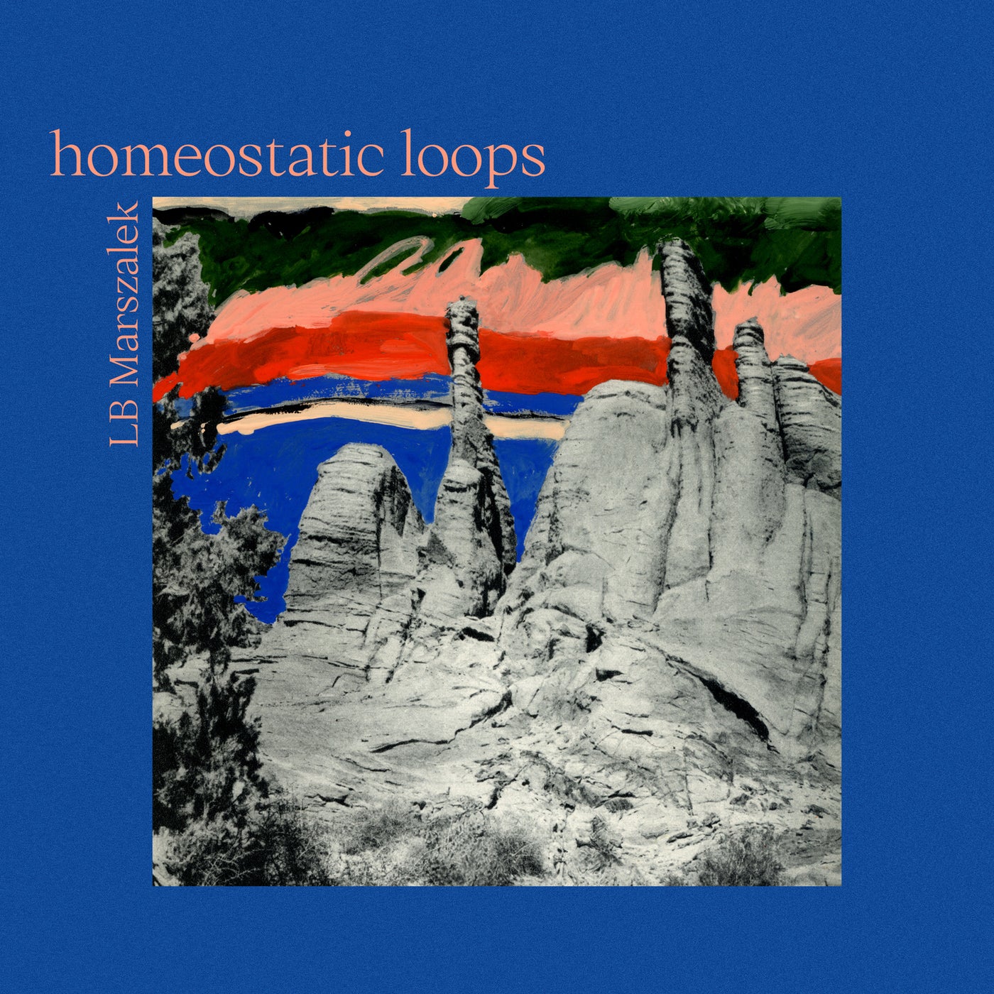 Homeostatic Loops