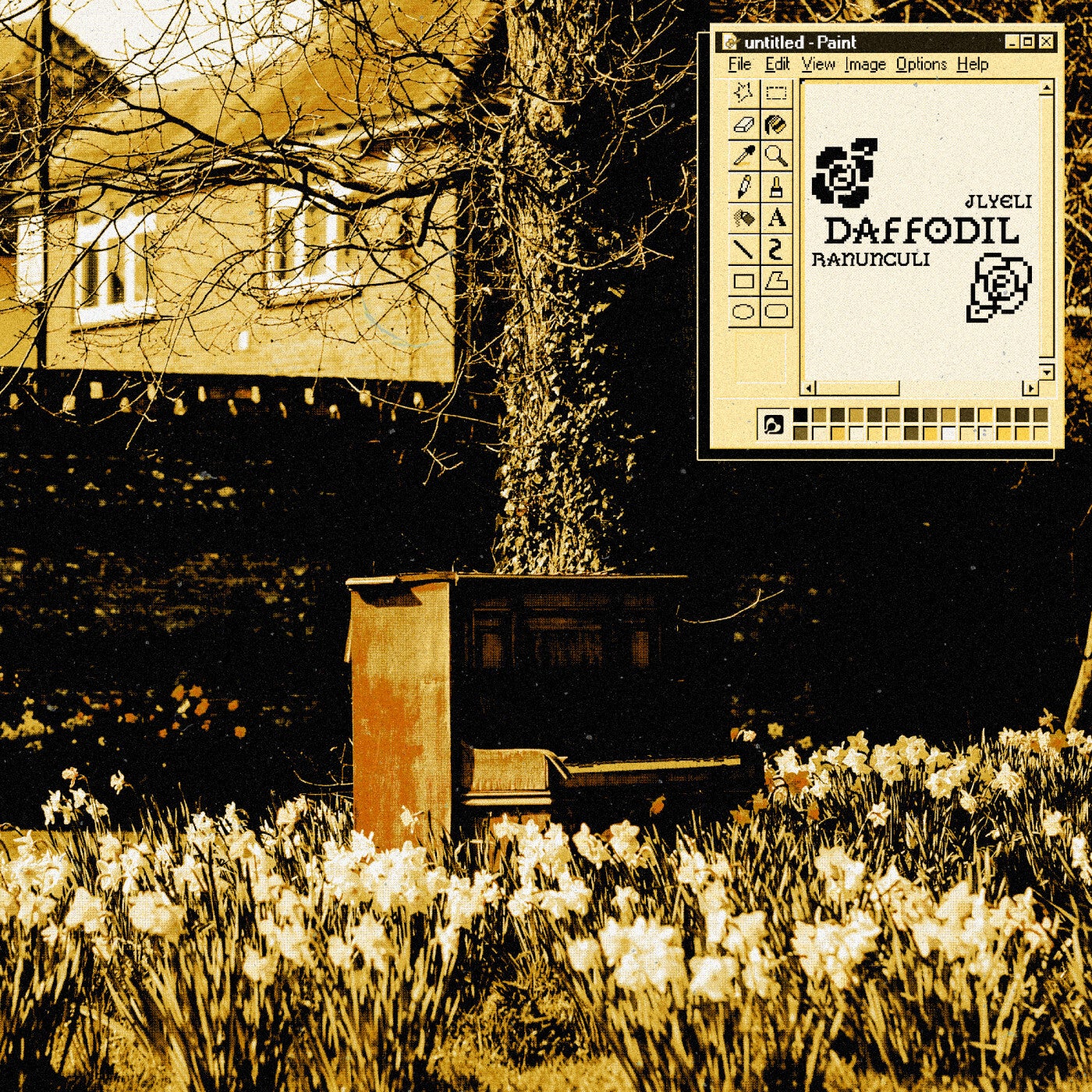 Daffodil