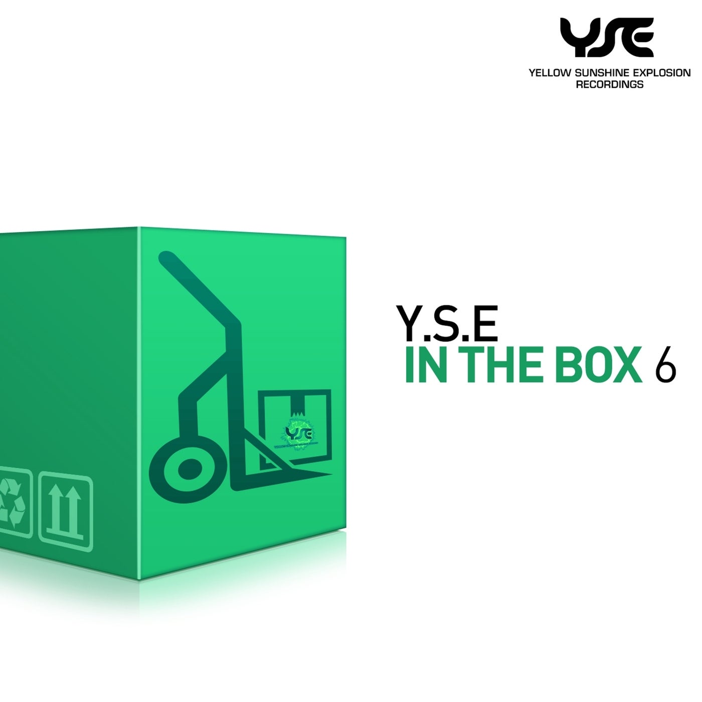 Y.S.E. in the Box, Vol. 6