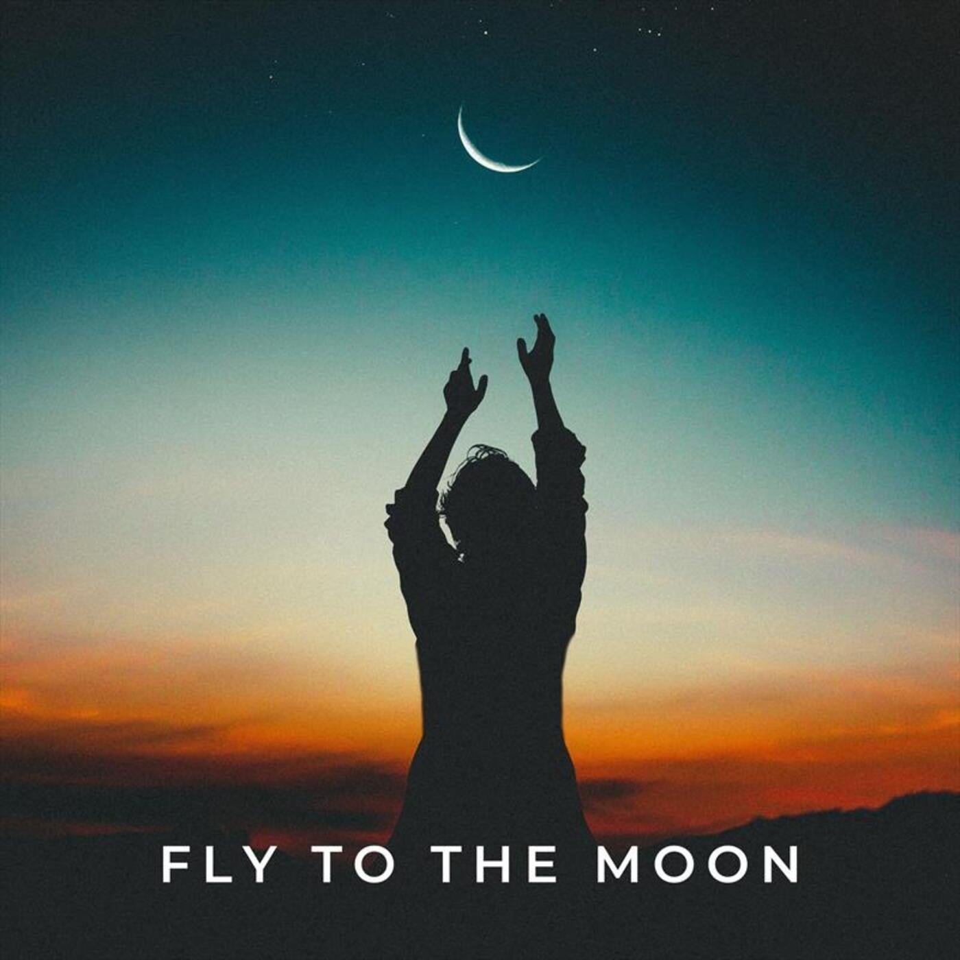 Fly to the Moon