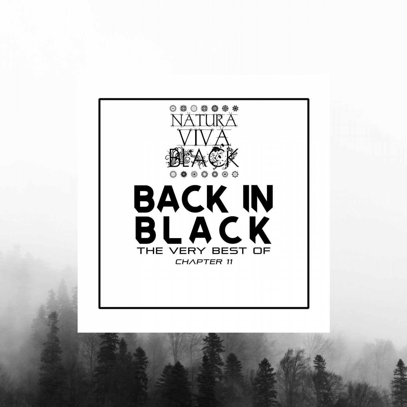 Back In Black! (The Very Best Of) Chapter 11