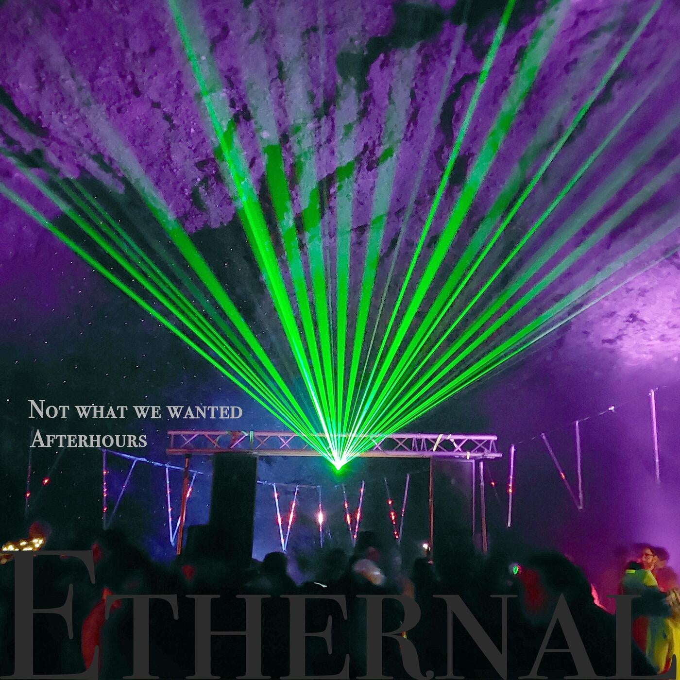 Not What We Wanted / After Hours EP