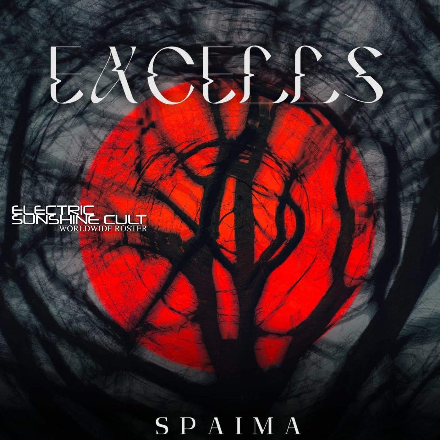 SPAIMA