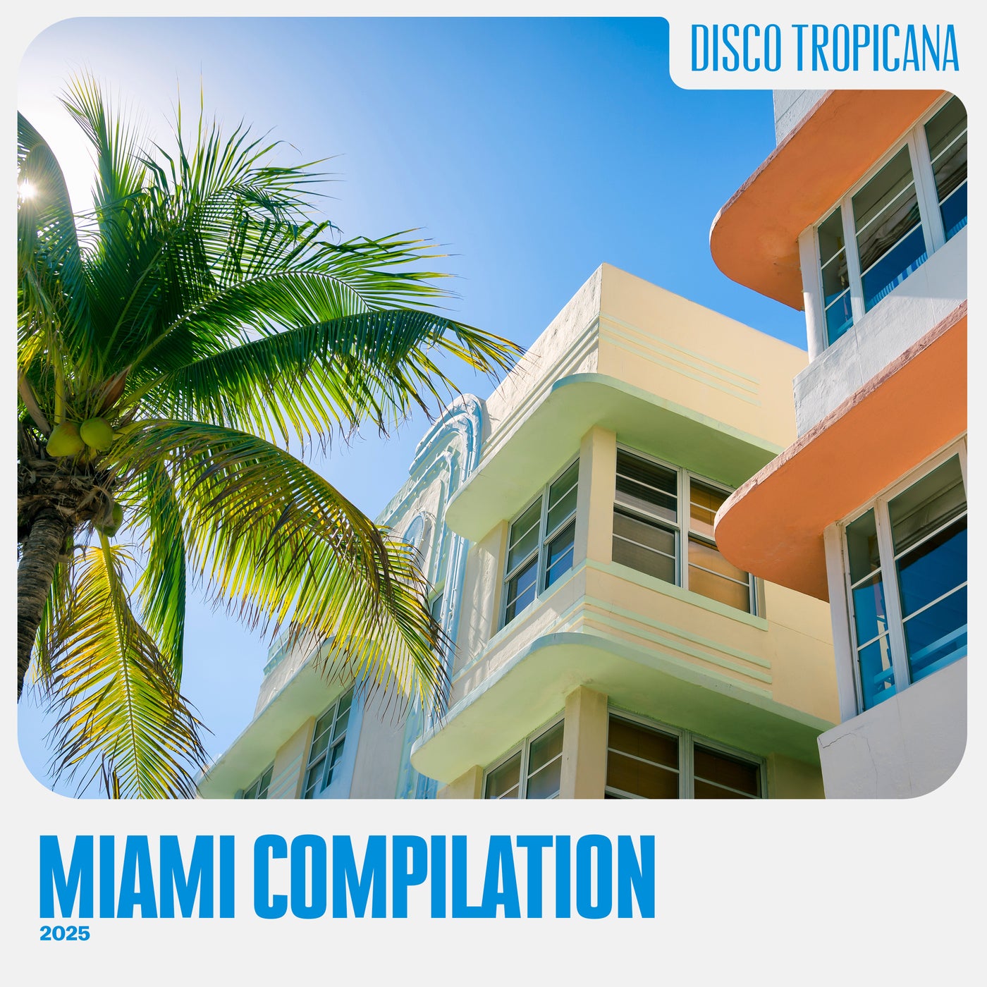 Miami Compilation 2025