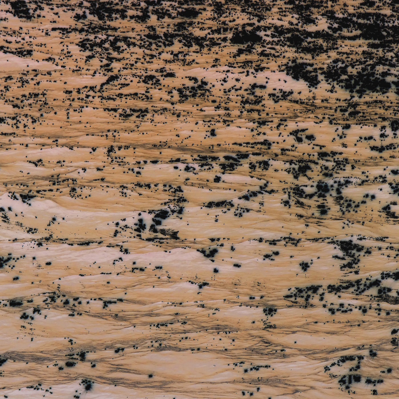 Ecos del Río Muerto