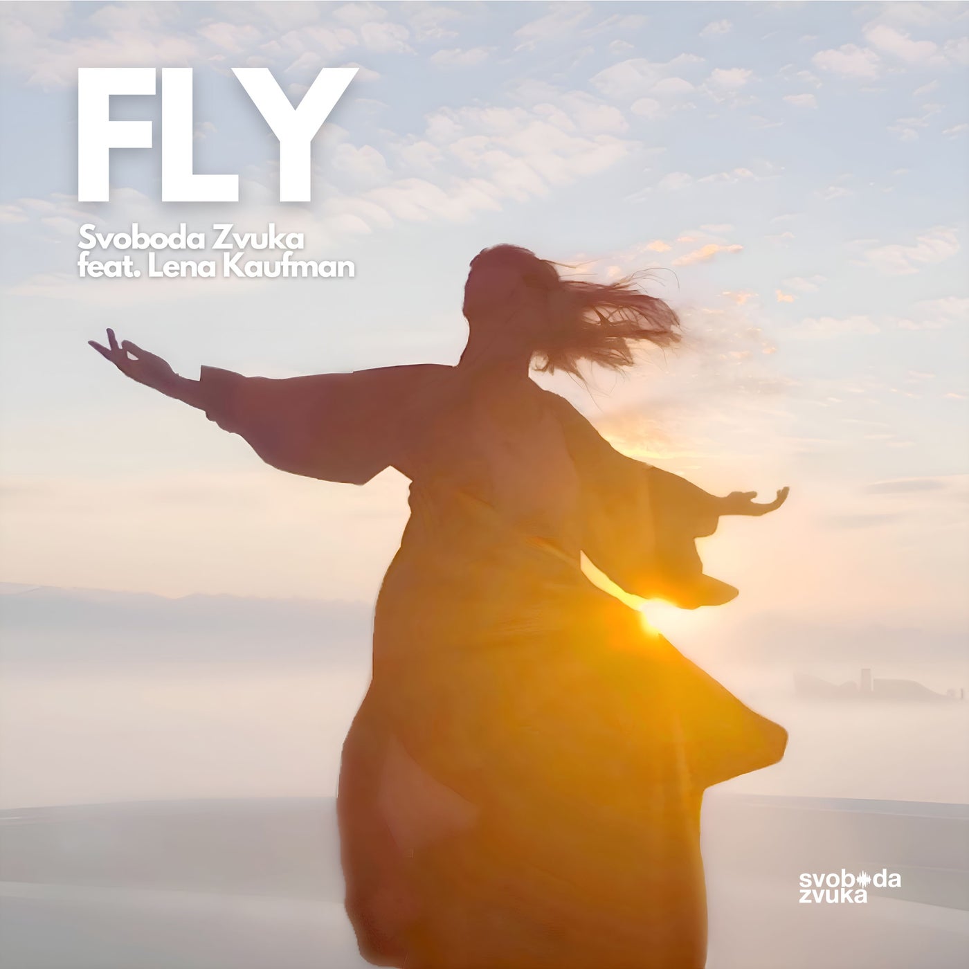 Fly