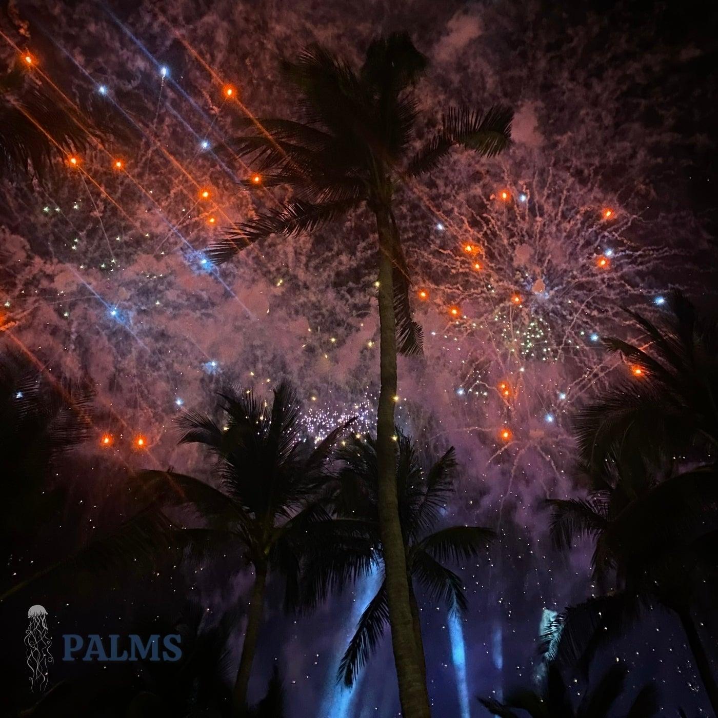 Palms