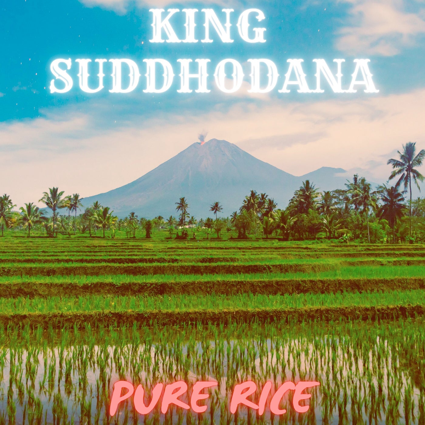 Pure Rice