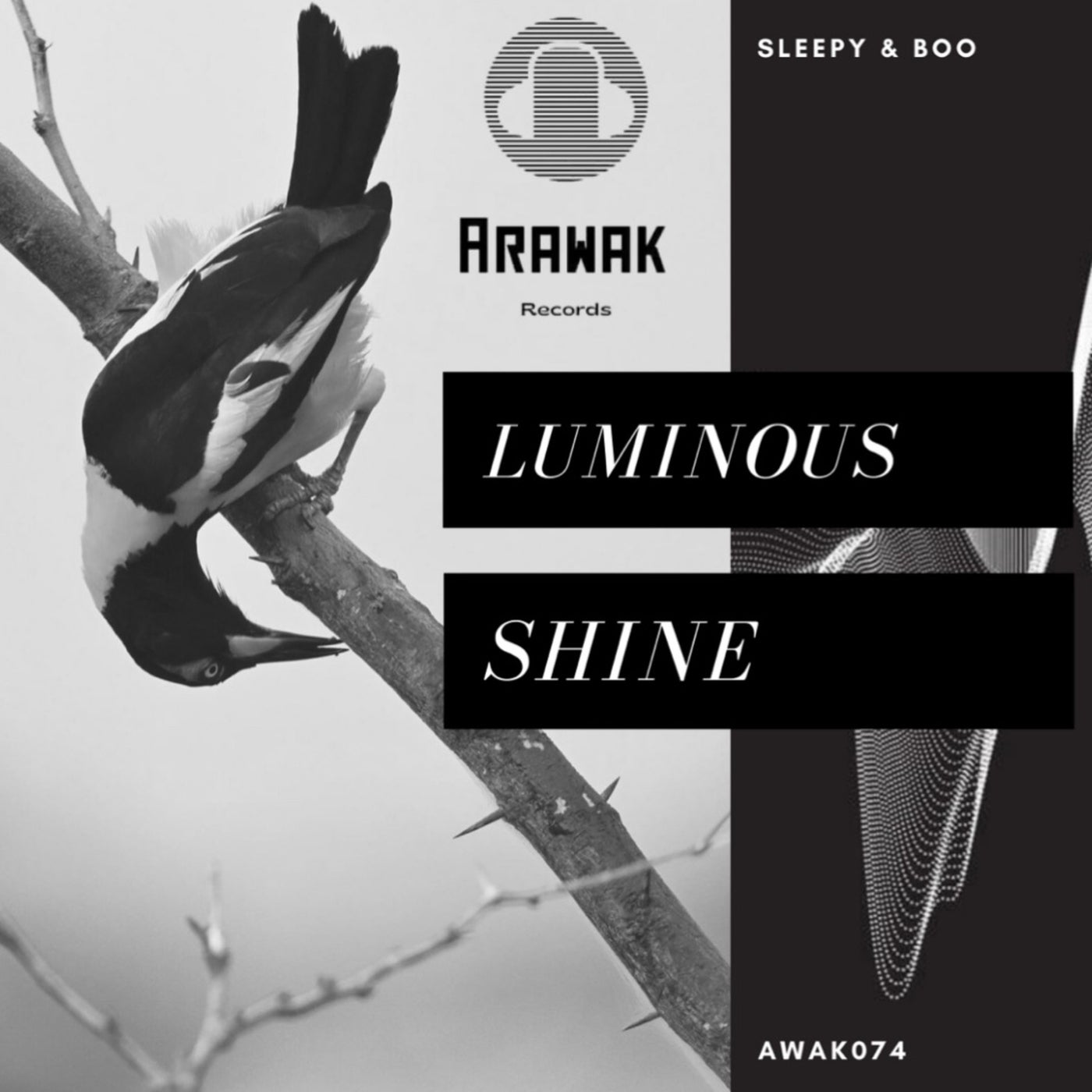 Luminous Shine