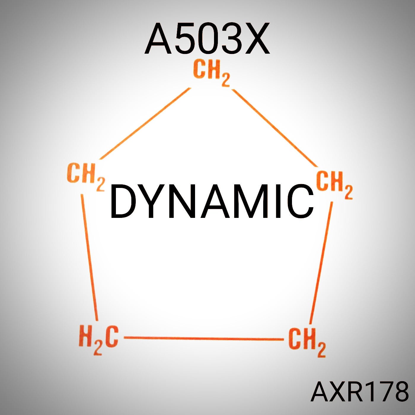 DYNAMIC