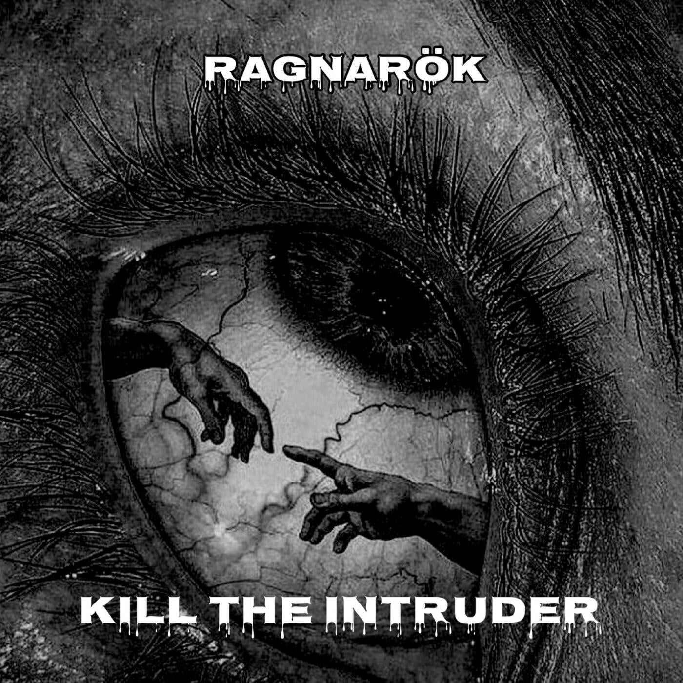 Kill The Intruder