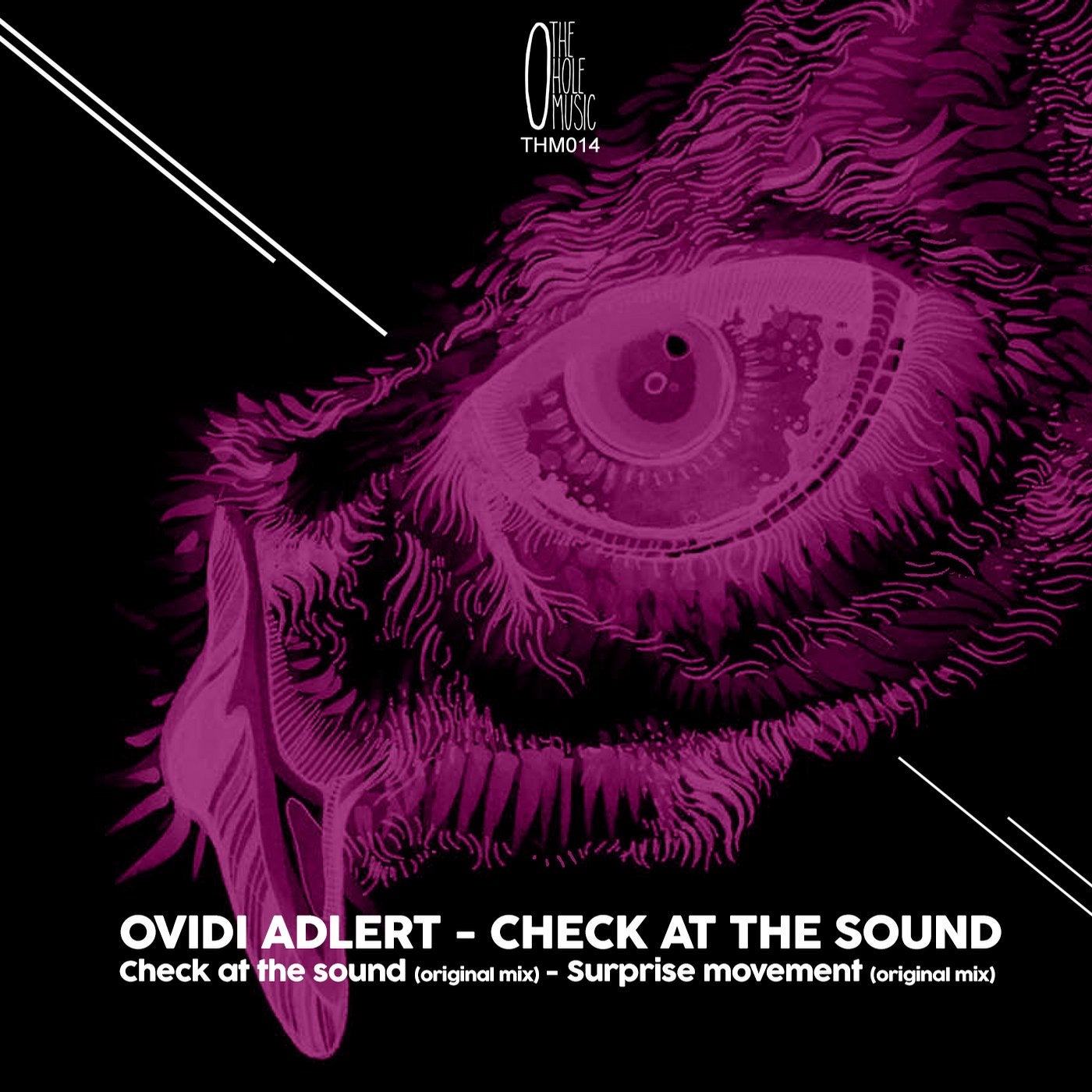 Check at the Sound
