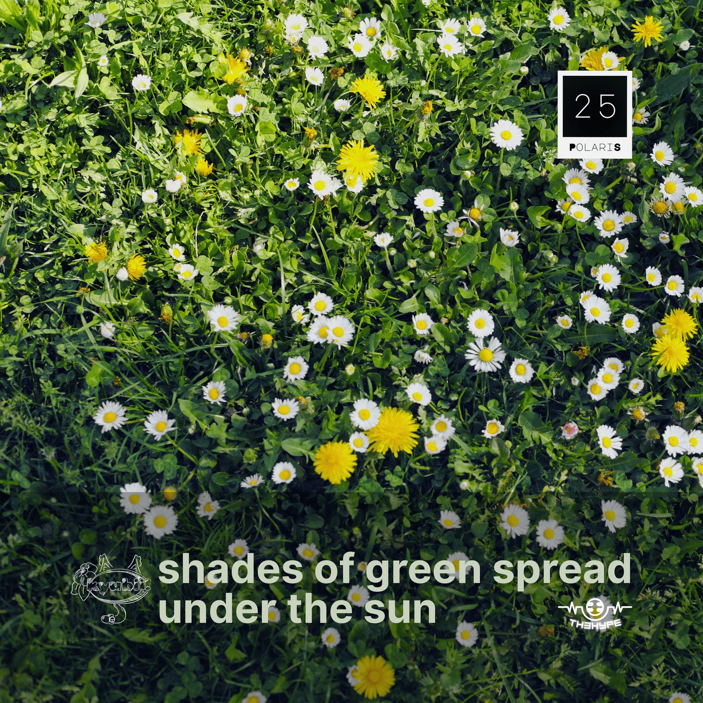 shades of green spread under the sun