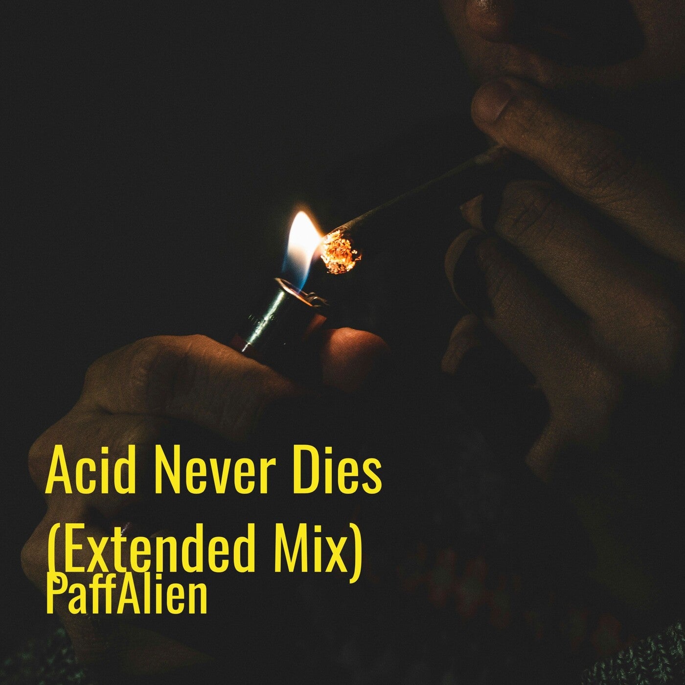 Acid Never Dies (Extended Mix)