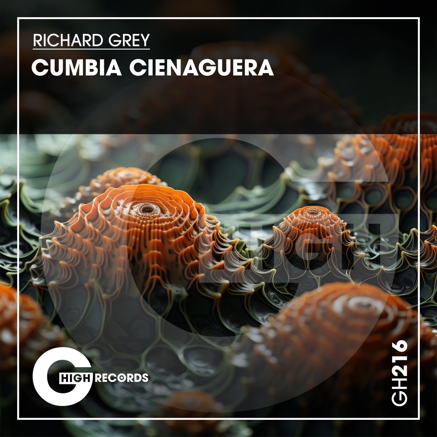 Cumbia Cienaguera 