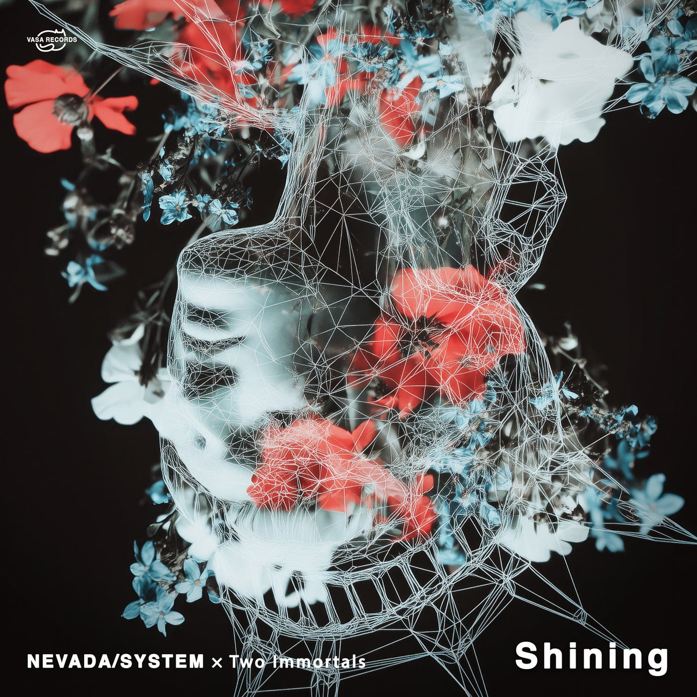 Shining (Extended Mix)