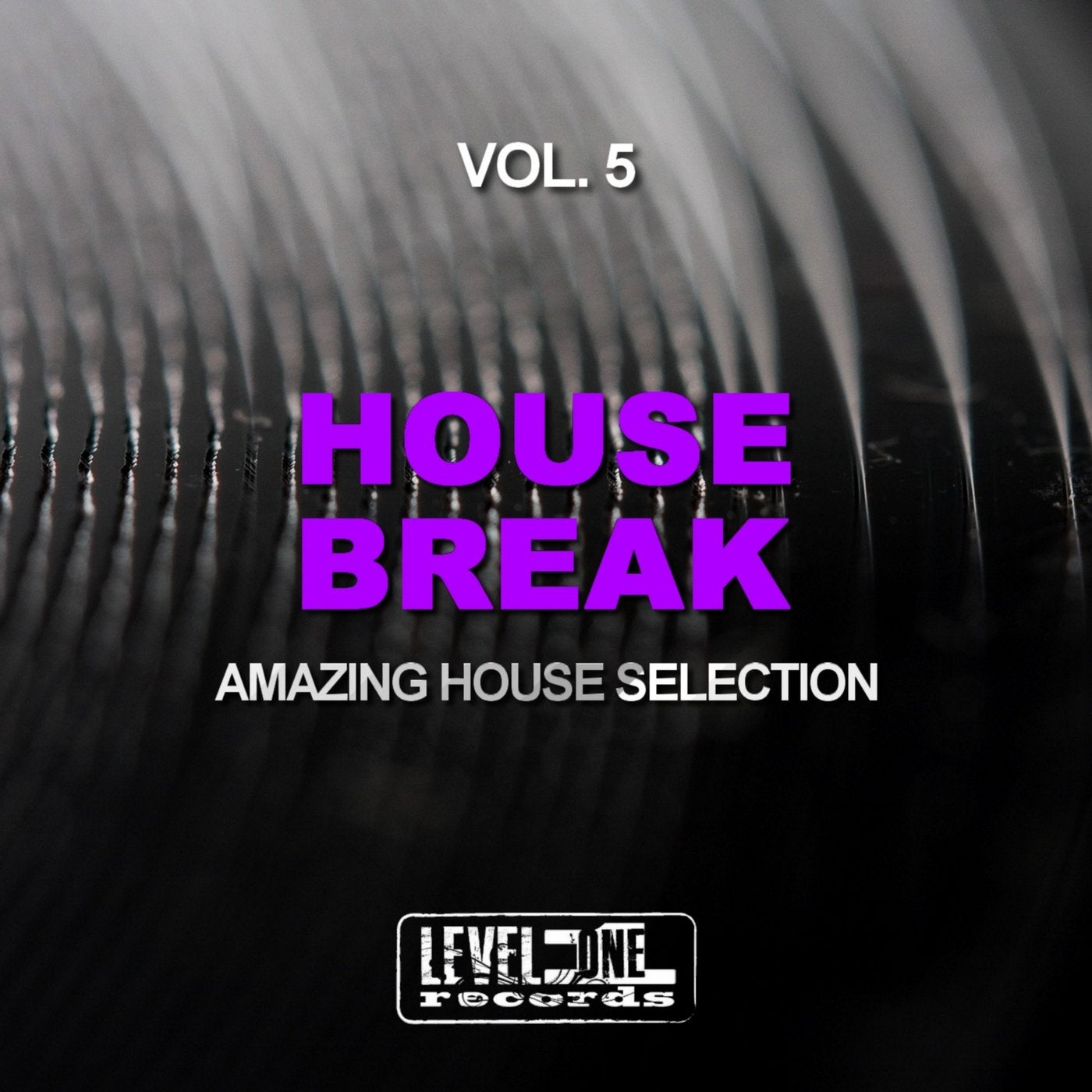 House Break, Vol. 5 (Amazing House Selection)