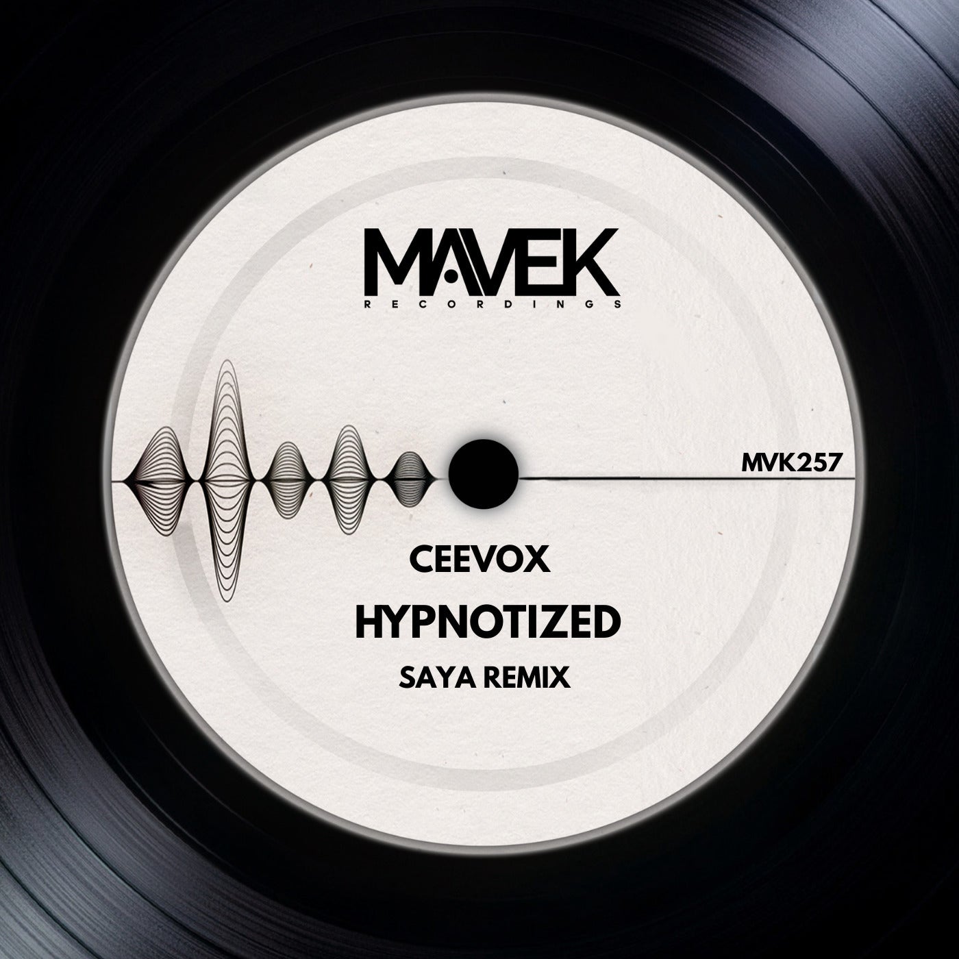 Hypnotized - Saya Ramix